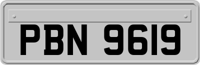 PBN9619