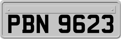 PBN9623