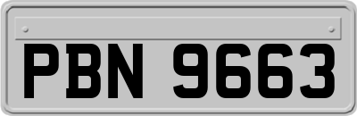 PBN9663