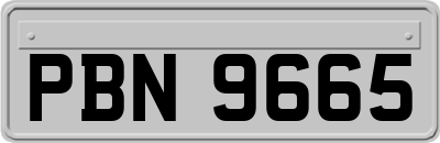 PBN9665