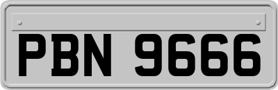 PBN9666