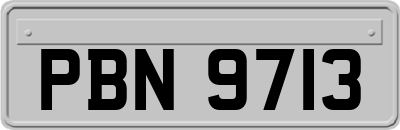 PBN9713