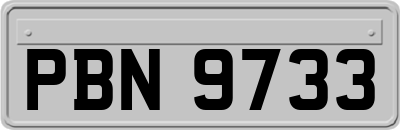 PBN9733