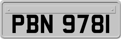 PBN9781