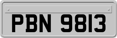 PBN9813