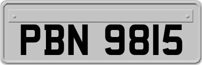 PBN9815