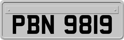 PBN9819