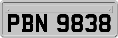 PBN9838