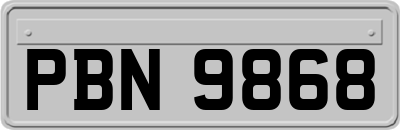 PBN9868