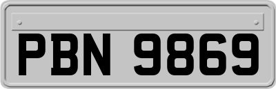 PBN9869