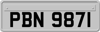 PBN9871