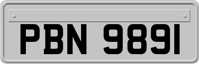 PBN9891