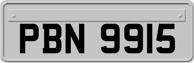 PBN9915