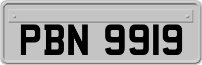 PBN9919