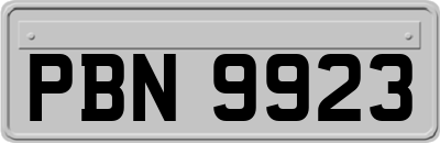 PBN9923