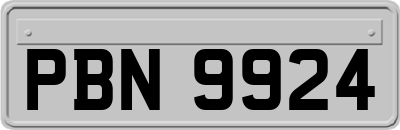 PBN9924