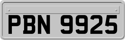 PBN9925