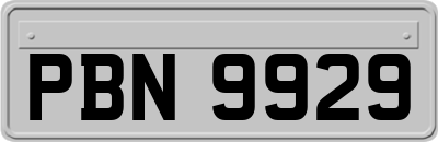 PBN9929