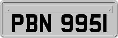 PBN9951