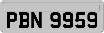 PBN9959