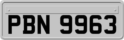 PBN9963