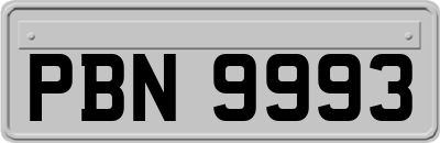 PBN9993