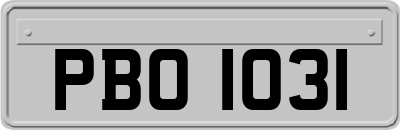 PBO1031