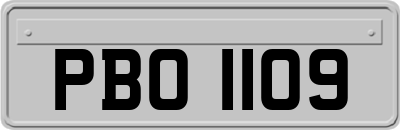 PBO1109