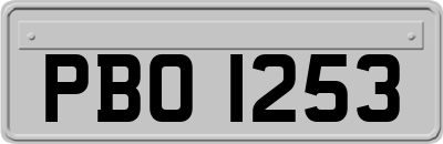 PBO1253