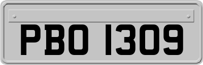 PBO1309