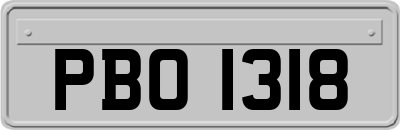 PBO1318