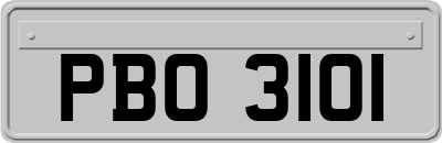 PBO3101