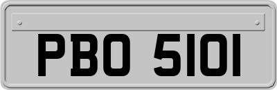 PBO5101