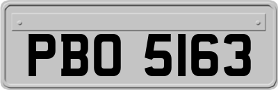 PBO5163