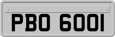 PBO6001