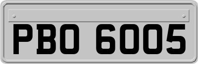 PBO6005