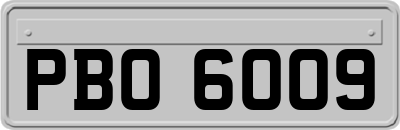 PBO6009