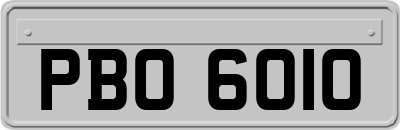 PBO6010