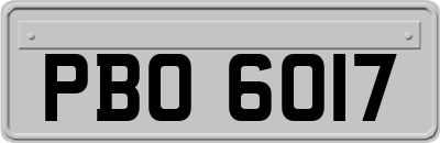 PBO6017