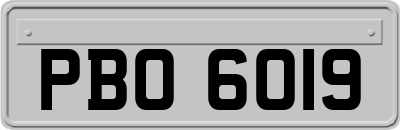 PBO6019