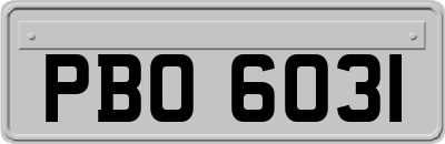 PBO6031