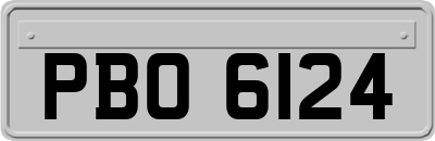 PBO6124