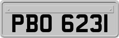 PBO6231