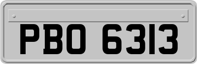 PBO6313