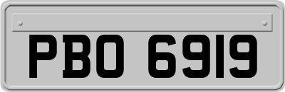 PBO6919