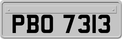 PBO7313