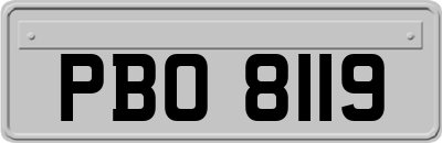 PBO8119