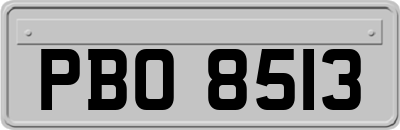 PBO8513