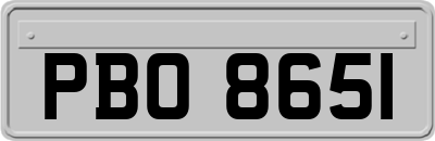 PBO8651