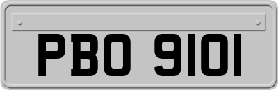 PBO9101